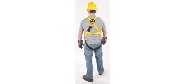 Workman® Harnesses - Image 5