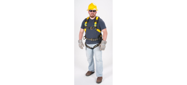 Workman® Harnesses - Image 2